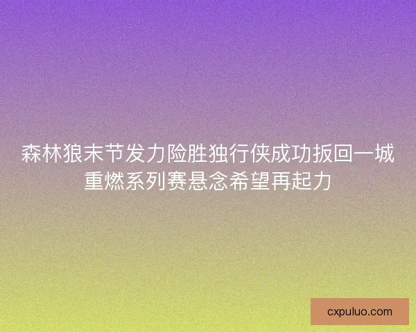 森林狼末节发力险胜独行侠成功扳回一城重燃系列赛悬念希望再起力