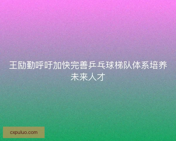 王励勤呼吁加快完善乒乓球梯队体系培养未来人才