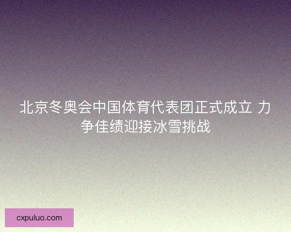 北京冬奥会中国体育代表团正式成立 力争佳绩迎接冰雪挑战